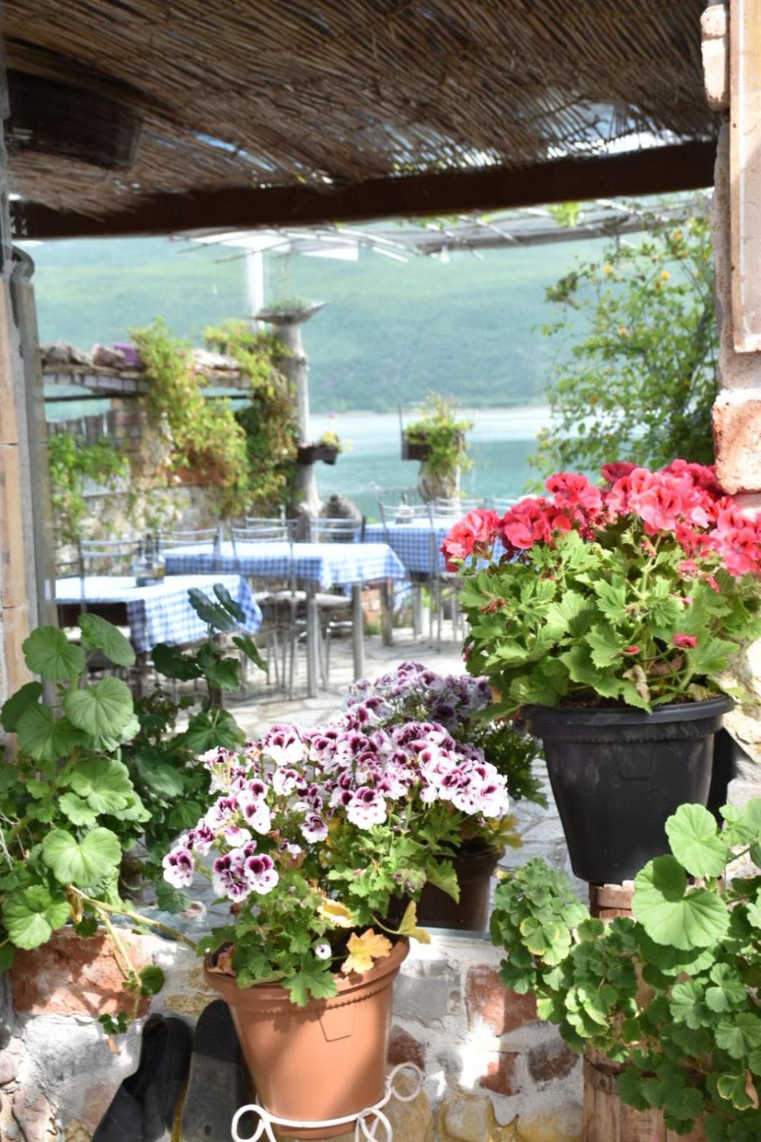 Lini Rosa B&B מראה חיצוני תמונה